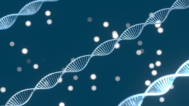 乳がん遺伝子ＢＲＣＡ─１を持っていない赤ちゃんを確認した