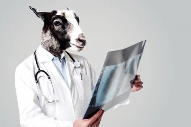 白衣を着た医師が牛の仮面をかぶり、レントゲン写真を眺めているユーモラスで風刺的なイラスト