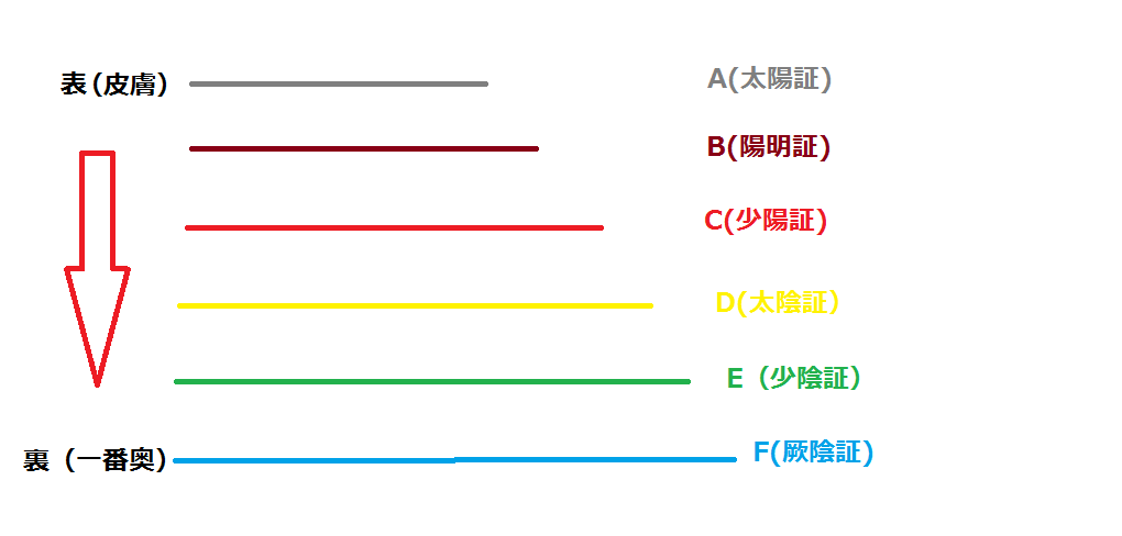 六経弁証理論で風邪薬の副作用：だるい、眠い、吐き気、めまい、下痢などが起きる原因を説明します。