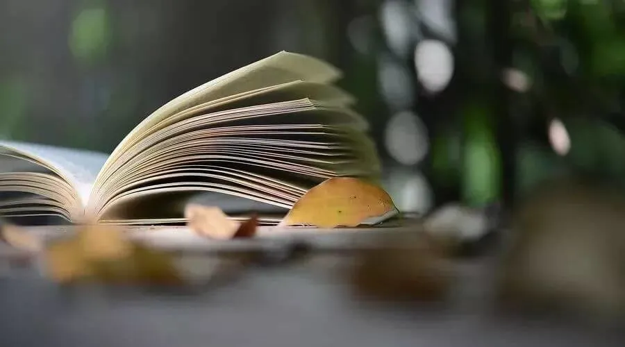 開いた本と落ち葉。足つぼ整体1回で認知症症状が改善し、久しぶりに本を読めるようになったおばあちゃん