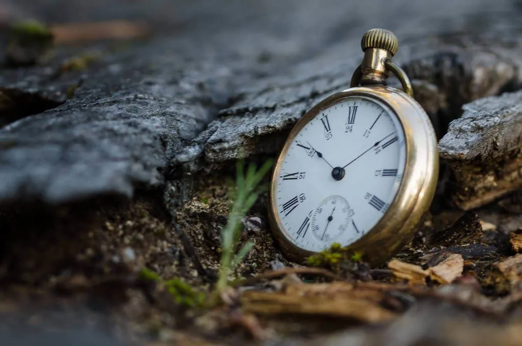 岩と草に置かれた時計。肺がんの漢方治療に1年かかった長い時間を象徴。