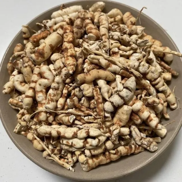 陶器の容器にたくさん入った乾燥甘遂の根。肺がん治療で使用された漢方生薬「甘遂」のイメージ。