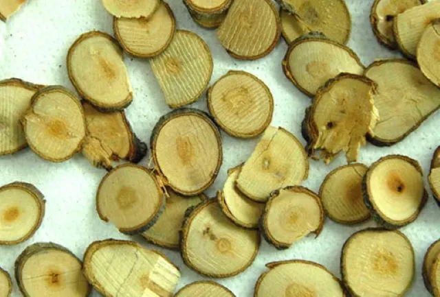 漢方薬「桂枝（けいし）」の薄くスライスされた乾燥生薬が並んだ写真