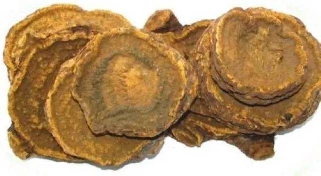 漢方薬 大柴胡湯に含まれる生薬 大黄（だいおう）のスライス