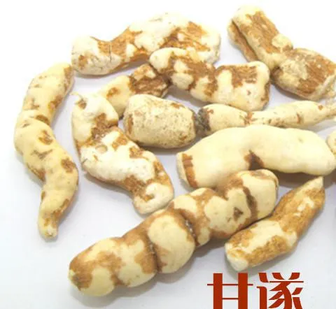 漢方生薬「甘遂(かんずい)」の乾燥根。子宮水腫・腹水排出に用いる強力な瀉下薬