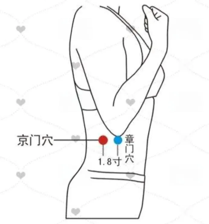 章門穴と京門穴の位置を示す女性の側面図(中国語表記)