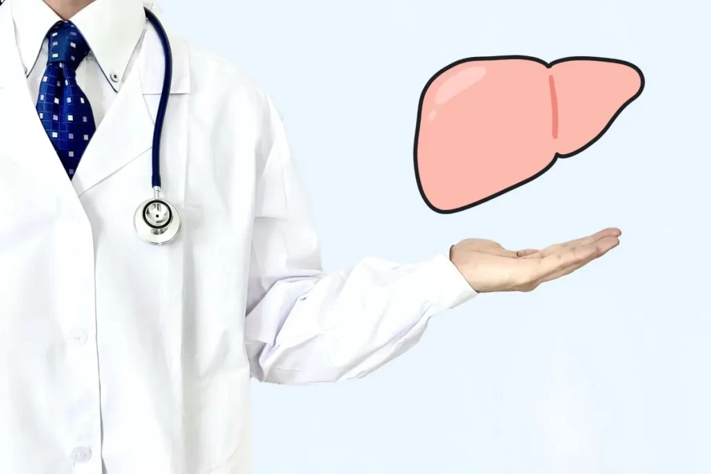 白衣を着た医師の手に乗せられたピンク色の肝臓イラスト。肝硬変や肝臓疾患の治療をイメージ。