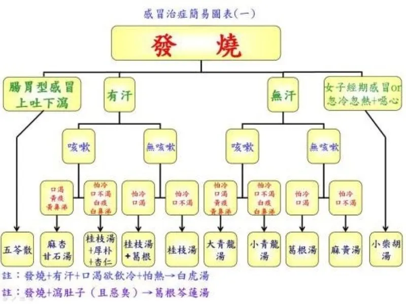 発熱を基準に汗の有無や鼻水の種類で漢方薬を選ぶ症状別フローチャート。