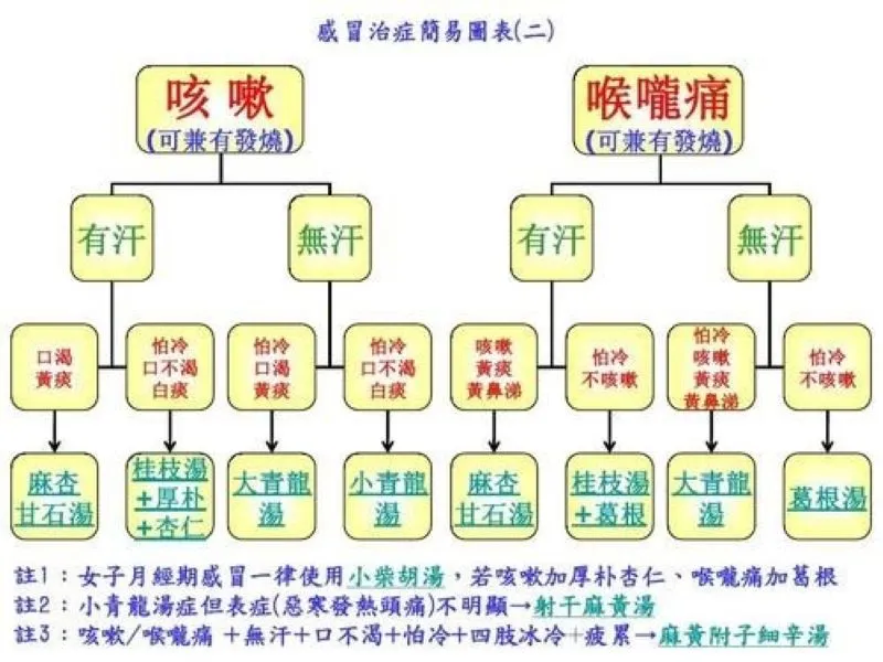 咳や喉の痛みを基準に汗の有無や鼻水の状態で漢方薬を選ぶ図解。