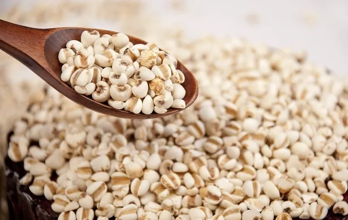 木のスプーンに盛られた薏苡仁（ヨクイニン）の粒、背景にもたくさん並んでいる