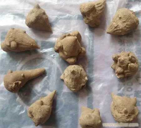 複数のトリカブト根（附子）が円状に配置され、中央に2つ置かれた生薬の写真