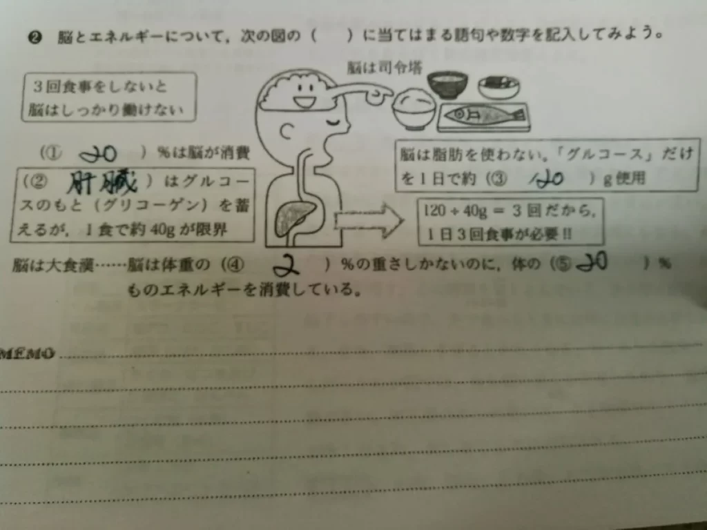 脳が1日に必要とする糖質量と、肝臓が1食で蓄えられる量を示した“1日3食の根拠”の授業プリント
