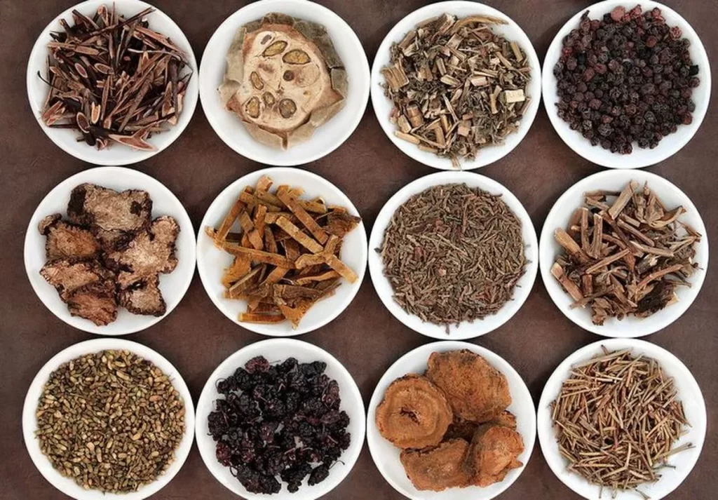 白い容器に12種類の生薬が整然と並んでいる様子を上から撮影した写真。