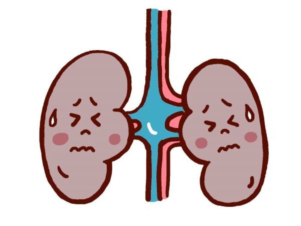 両方の腎臓が苦しそうな表情をし、青と赤の血管が描かれたイラスト