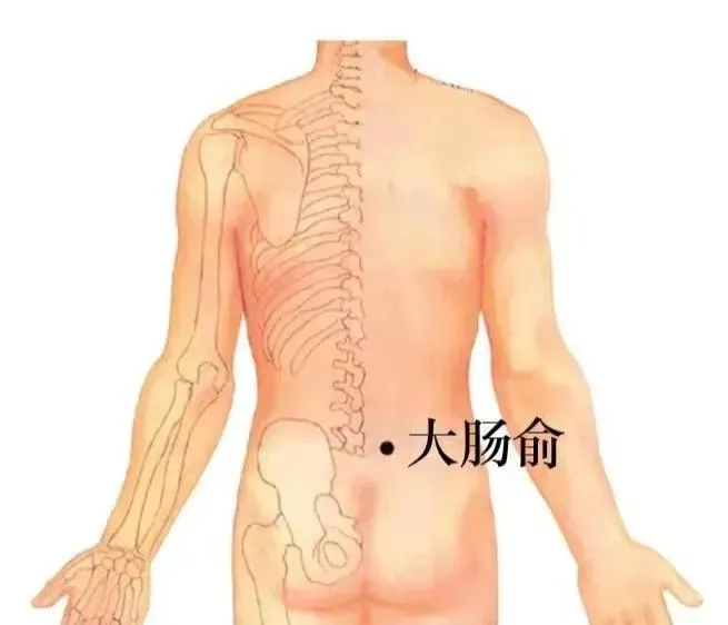 腰に大腸兪穴を黒丸で示したイラスト