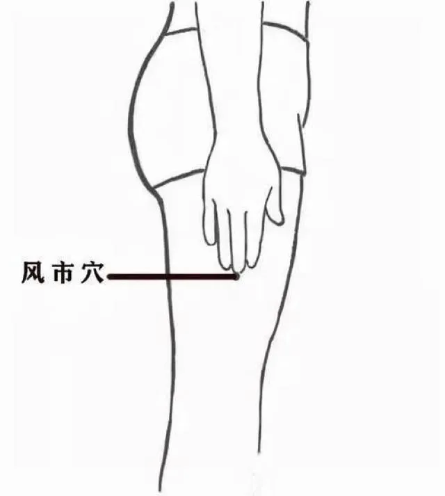 風市穴の位置を示した線画イラスト。自然に立った姿勢で、中指の先が届く場所が風市穴であることを表記。