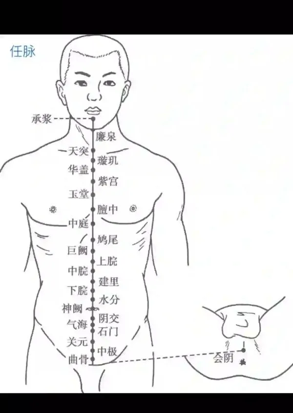 任脈(にんみゃく)の全体経絡図。会陰穴(CV1)から起始し、体幹前面を上行するツボの位置を表記したイラスト。
