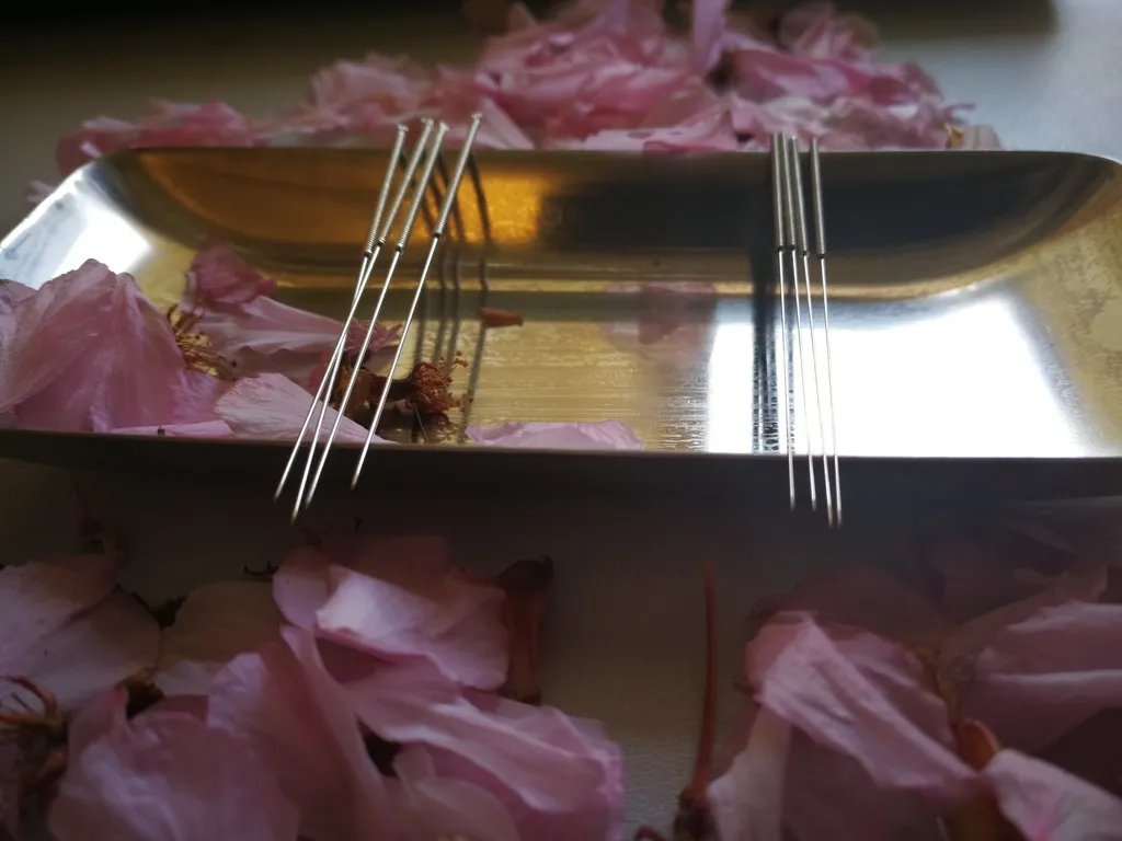 ステンレス皿に置かれた鍼と周りに散らばるピンクの花