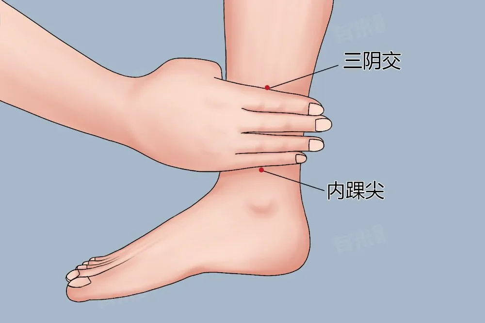 足の内くるぶしから指4本分上の三陰交ツボ位置を示すイラスト。眼瞼下垂治療に有効な鍼灸ポイント