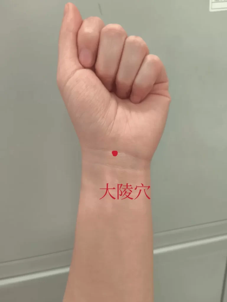 大陵穴の位置図(左手首を拳にして垂直に立て、赤丸で大陵穴を示した画像)