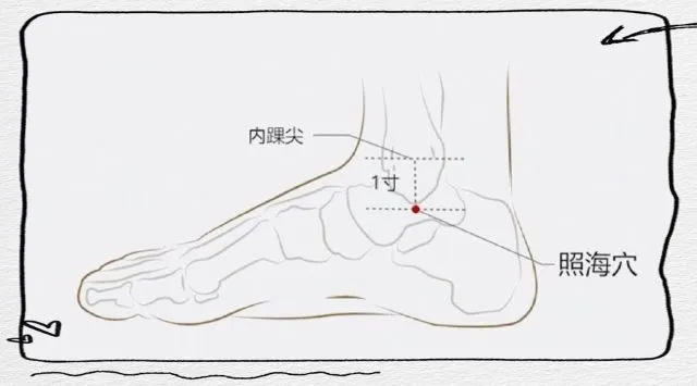 照海穴の位置図（内踝尖から下1寸に赤丸表示、鍼灸ツボ・腎経）