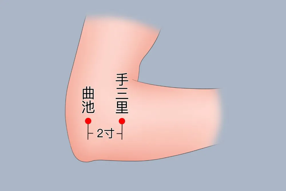 曲池穴と手三里穴の位置図（大腸経、肘から前腕に赤丸表示、間隔2寸）