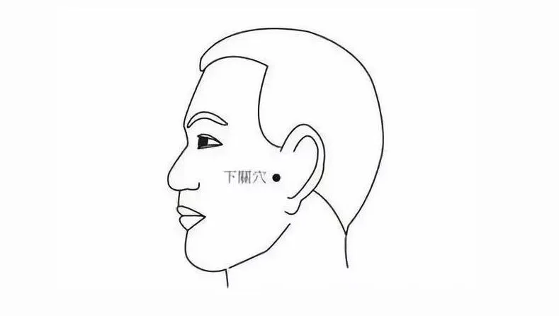 男性の横顔イラストに鍼灸の下関穴の位置を示した説明図