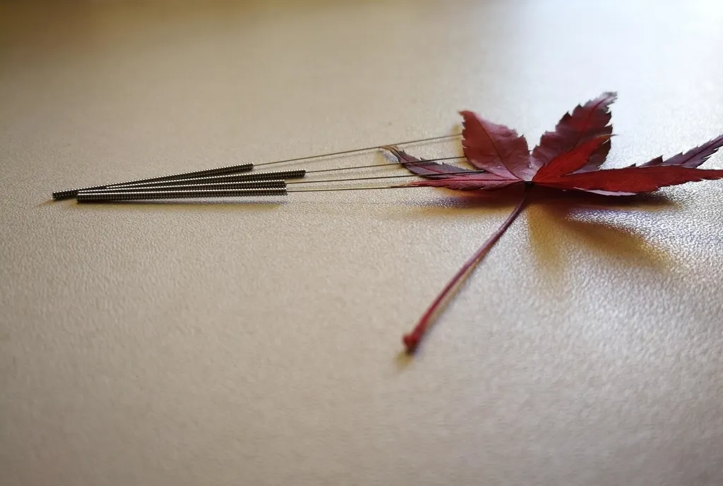 鍼灸治療で使用した4本の鍼。テーブルに並べられ、隣に紅葉が置かれている。