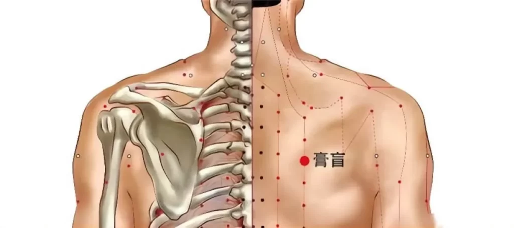 男性の背中にある膏肓の位置を示すイラスト。左側は骨格、右側は皮膚上に赤丸で膏肓を強調表示。