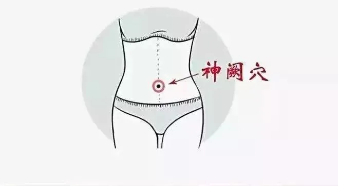 神闕穴（しんけつけつ）の位置を示したイラスト。女性のへそ中央に赤丸と赤い矢印、中国語で「神阙穴」と表記されている。