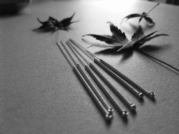白黒写真で、数本の鍼が机の上に置かれ、背景に数枚の葉っぱが配置されているクローズアップ画像