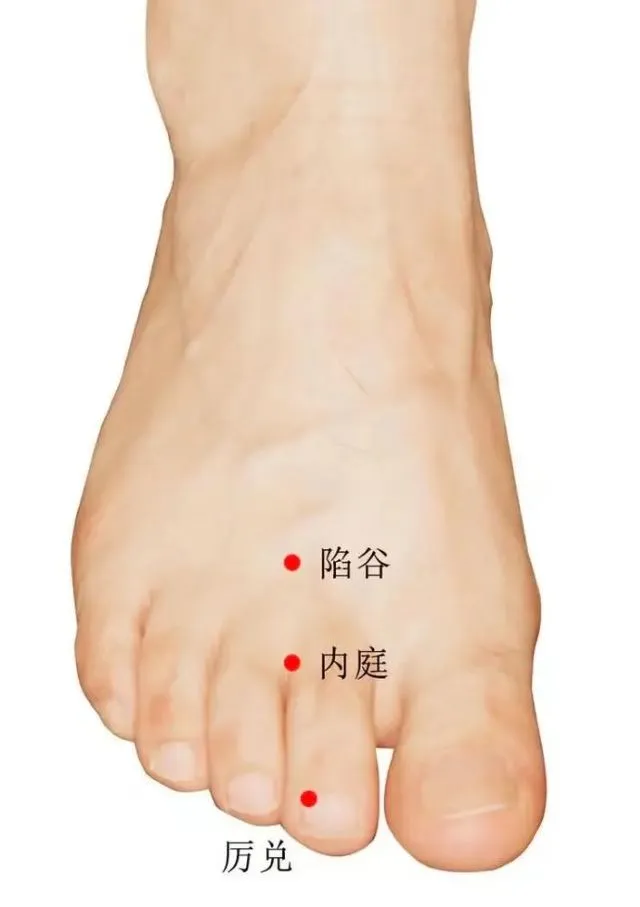 右足のツボ「内庭」「陷谷」「厉兑」の位置を示した線画