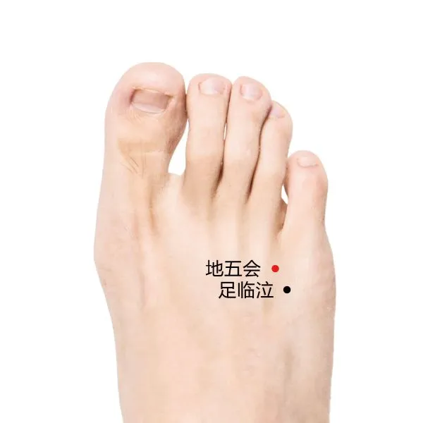 足の甲に足臨泣（青い丸）と地五会（赤い丸）を中国語で表記したツボ位置画像