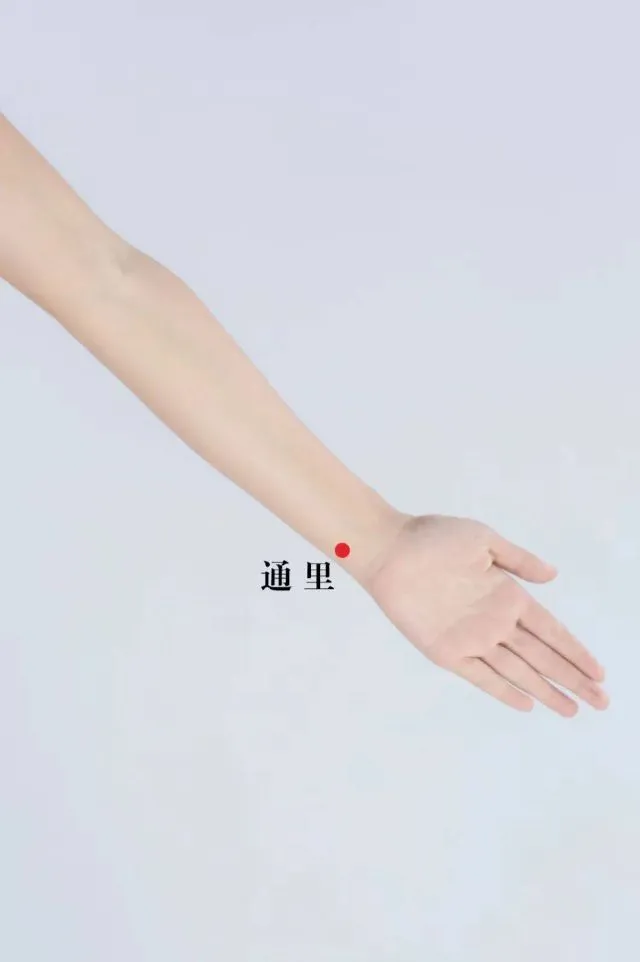 手の内側にあるツボ「通里」の位置を示した画像