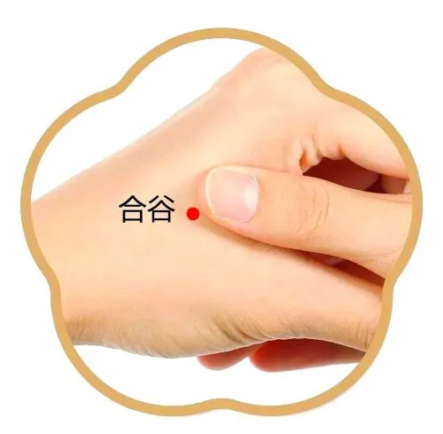 合谷穴の位置（手の甲・親指と人差し指の間）を赤丸で示した写真