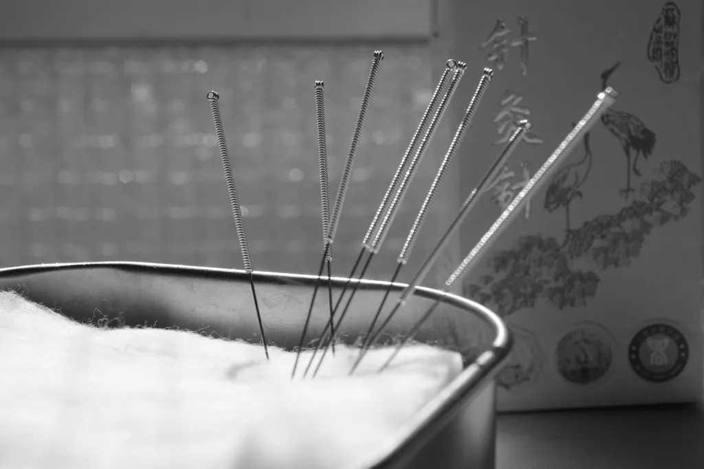 ステンレス容器に入れた綿花に刺した8本の鍼と鍼箱