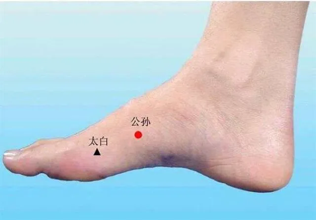 右足の内側にある公孫と太白の位置を示したツボ図。公孫は赤丸、太白は黒い三角で表示。