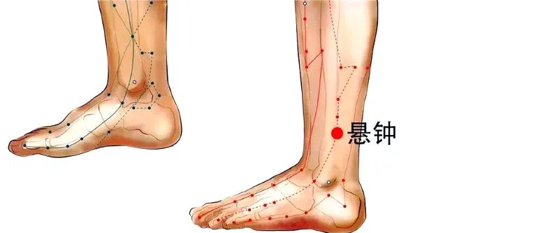 右足の外側にある絶骨穴（悬钟穴）が赤丸で示された経絡イラスト。