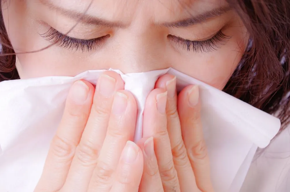 蓄膿症で鼻を強くかむ女性のクローズアップ（目の下～鼻）