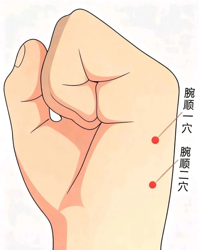 左手の拳にある腕順1穴と腕順2穴が赤丸で示されたツボのイラスト。