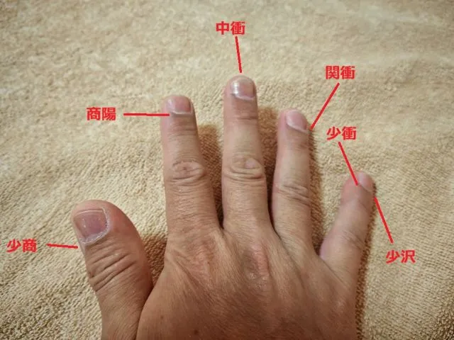 右手の指先近くの経穴位置を示したイラスト。赤い文字と線で少商（親指）、商陽（人差し指）、中衝（中指）、関衝（薬指）、少衝（小指）、少沢（小指）をマーク。刺絡療法の参考図。