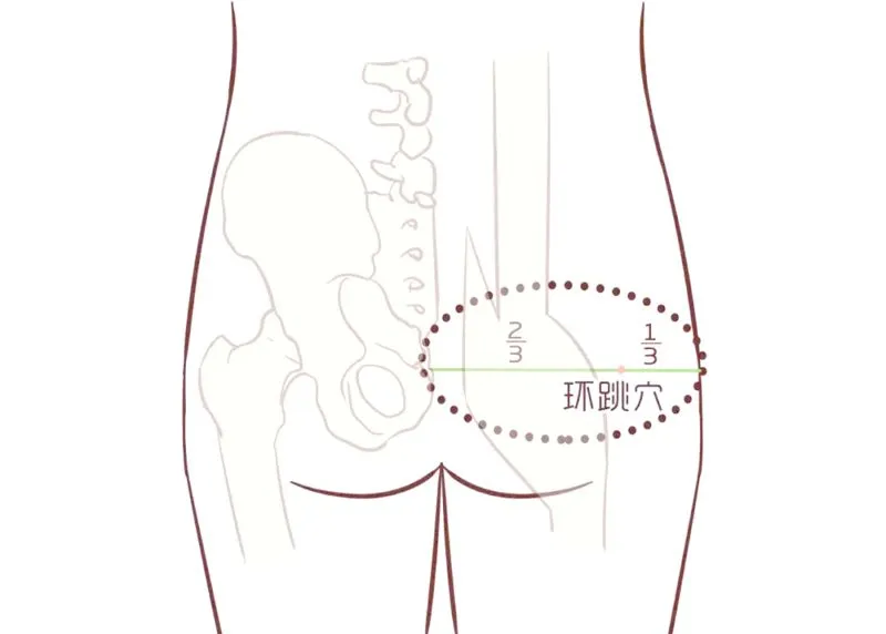 環跳穴の位置を示す線画イラスト。点線の円と赤丸でツボを表示。