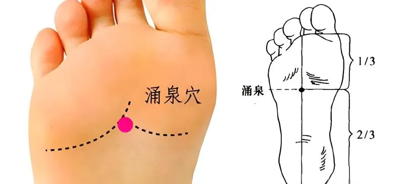 足裏の湧泉穴の位置を示す図と線画イラスト。ピンク丸でツボを表示。