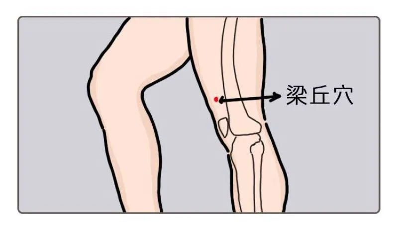 左膝上の梁丘穴を黒い矢印と黒文字で示した線画。