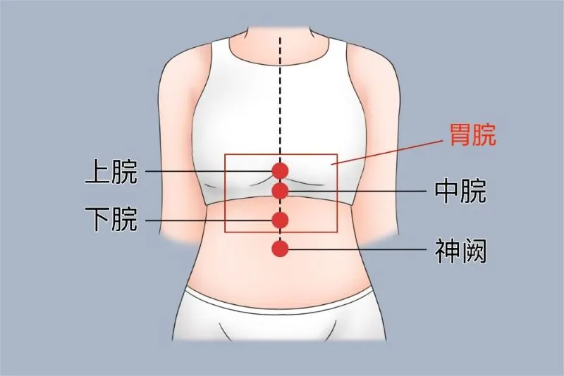 中脘・下脘・上脘・神阙を赤丸と赤枠で示し、「胃脘」と表記した女性の腹部イラスト。