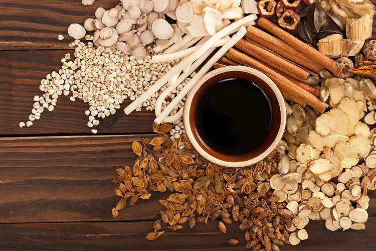 黄耆・ヨクイニン・桂皮・当帰など多くの生薬が整然と並び、中央に煎じた漢方薬が盛られた俯瞰画像