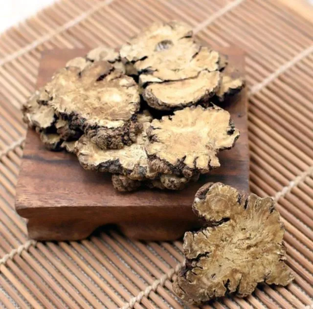 漢方薬の頭痛治療に欠かせない生薬・川芎（センキュウ）のスライス。木の板に並べられた乾燥した根茎