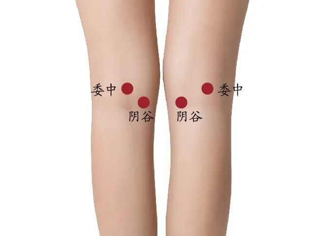 膝裏の鍼灸ツボ「委中」と「陰谷」を赤丸で示した女性の膝裏画像
