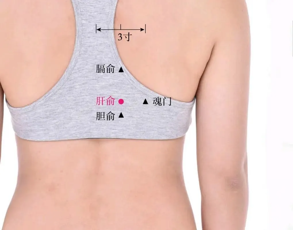 肝兪・胆兪・膈兪・魂門のツボ位置を示した女性の背中図（▲マークで表示）
