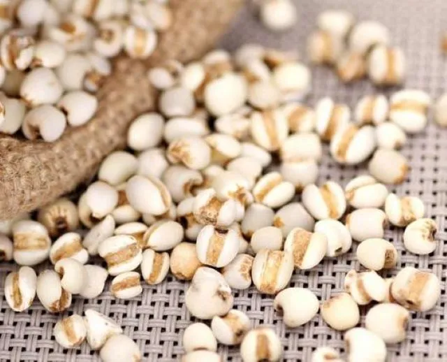 ヨクイニン（薏苡仁）の粒がザルからこぼれ落ちるクローズアップ